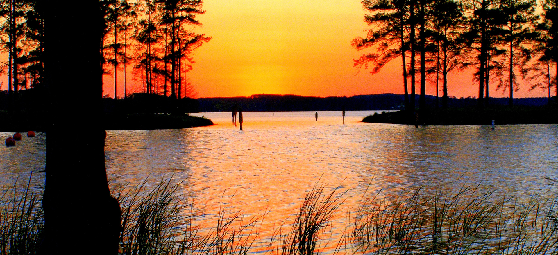lake vernon water front homes for sale